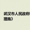 武汉市人民政府印发《武汉市推进商业航天突破性发展若干措施》