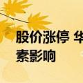 股价涨停 华钰矿业回应：主要受到锑价格因素影响