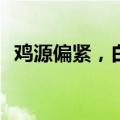 鸡源偏紧，白羽鸡毛鸡价格1月内上涨10%