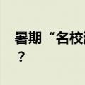 暑期“名校游”火爆 如何才能做到不虚此行？