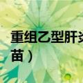 重组乙型肝炎疫苗是干嘛的（重组乙型肝炎疫苗）