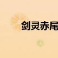 剑灵赤尾在哪里（剑灵赤尾怎么打）