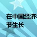 在中国经济半年报里&#32;看新动能拔节生长