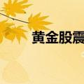 黄金股震荡走高，华钰矿业涨近9%