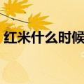 红米什么时候有货（红米什么时候开放购买）