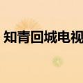 知青回城电视剧有哪些（知青返城的电视剧）