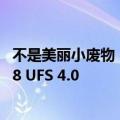 不是美丽小废物！小米MIX Flip关键配置出炉：第三代骁龙8 UFS 4.0