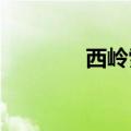西岭雪山小熊猫成大树挂件