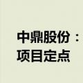 中鼎股份：子公司获4.12亿元空气悬挂系统项目定点