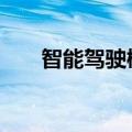 智能驾驶概念盘初走低 星网宇达跌停