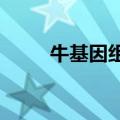 牛基因组内首次发现个体差异区域