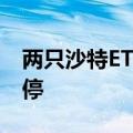 两只沙特ETF再度大涨，南方沙特ETF竞价涨停