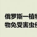 俄罗斯一植物园为猫咪建纪念雕像：曾守护植物免受害虫侵扰