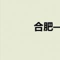 合肥——中东商务港正式运营