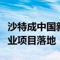 沙特成中国新能源出海热土，多家头部光伏企业项目落地