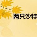 两只沙特ETF延续昨日涨势高开大涨