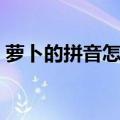萝卜的拼音怎么写的拼（萝卜的拼音怎么写）