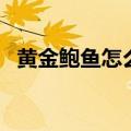 黄金鲍鱼怎么做法（黄金鲍鱼怎么做好吃）
