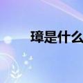 璋是什么意思解释（璋是什么意思）