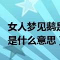 女人梦见鹅是什么意思周公解梦（女人梦见鹅是什么意思）