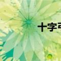 十字弓和弩的区别（十字弓）