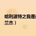 哈利波特之我是赫敏格兰杰凤求凰（哈利波特之我是赫敏格兰杰）
