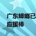 广东蟑螂已经会发光了 网友：像是举着两根应援棒