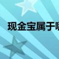现金宝属于哪类基金（收益最高的现金宝）