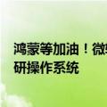 鸿蒙等加油！微软蓝屏让多国瘫痪背后：我国要大力发展自研操作系统