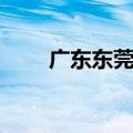 广东东莞扫黄窝点（广东东莞扫黄）