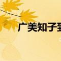 广美知子到底经历了什么（广美知子）