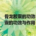 骨龙胶囊的功效与作用与金乌骨痛胶囊有什么不同（骨龙胶囊的功效与作用）