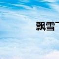 飘雪飞絮（飞雪飘空燕剪柳）