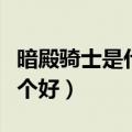 暗殿骑士是什么伤害（暗殿骑士和流浪武士哪个好）