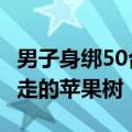 男子身绑50台苹果iPhone入境被查 网友：行走的苹果树