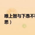 唯上智与下愚不移体现了什么论（唯上智与下愚不移什么意思）
