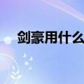 剑豪用什么武器好看（剑豪用什么武器）