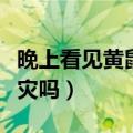 晚上看见黄鼠狼什么征兆（晚上看见黄鼠狼有灾吗）