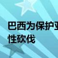 巴西为保护亚马逊雨林允许进行数英里的选择性砍伐