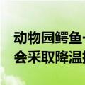 动物园鳄鱼一动不动引质疑 回应：都是真的 会采取降温措施