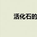 活化石的资料笔记（活化石的资料）
