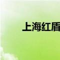 上海红盾网官网入口（上海红盾网）
