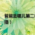 爸爸去哪儿第二季出了什么事（爸爸去哪儿第二季什么时候播）