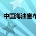 中国海油宣布在南海北部湾盆地探获千方井