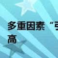 多重因素“引燃”债市，国债期货再创历史新高