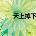 天上掉下个宰（天上掉下个影卫卫）