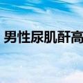 男性尿肌酐高说明什么（尿肌酐高说明什么）