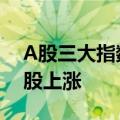 A股三大指数集体收涨，全市场超4400只个股上涨