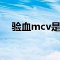 验血mcv是什么意思（mcv是什么意思）