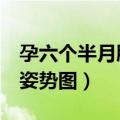 孕六个半月胎儿在什么位置（孕6个半月胎儿姿势图）